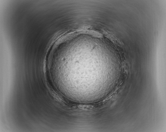 X0000115340242200911091311