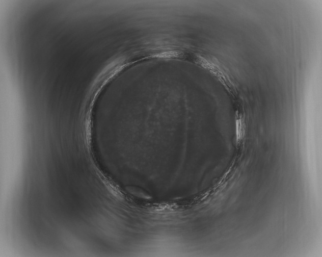 X0000115340243200911091311