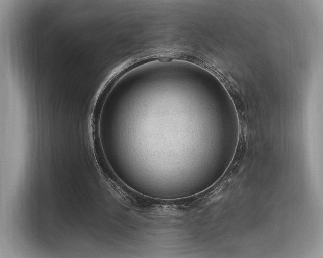 X0000115340244200911091311