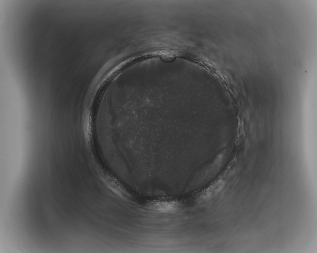 X0000115340247200911091311