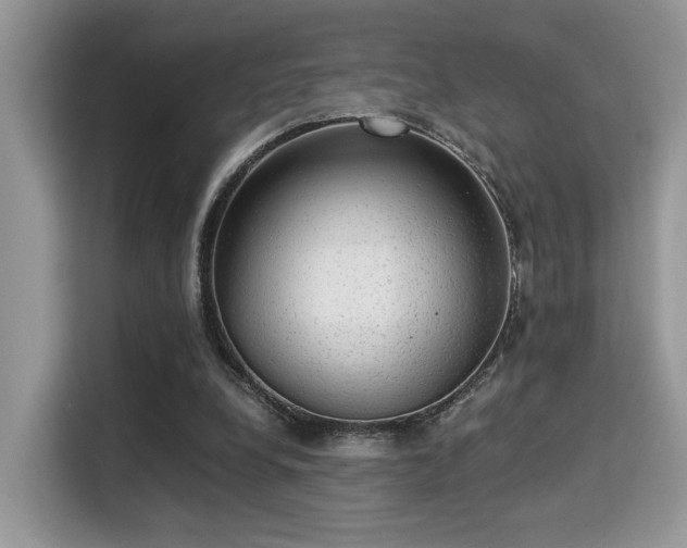 X0000115340248200911091311