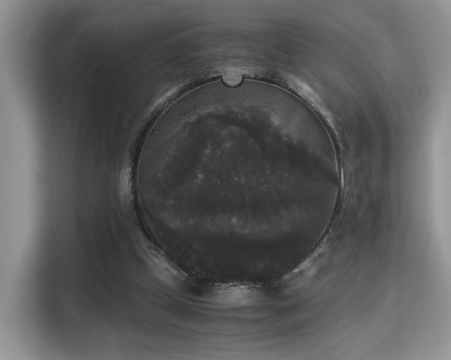 X0000115340249200911091311