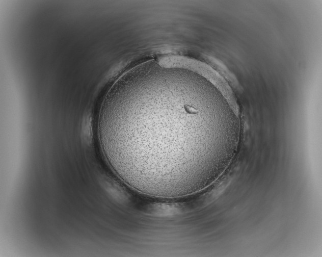 X0000115340250200911091311