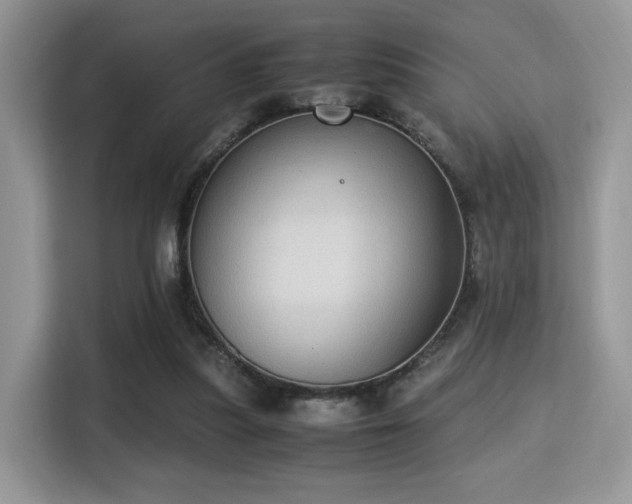 X0000115340251200911091311