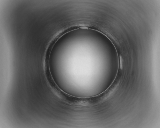 X0000115340252200911091311