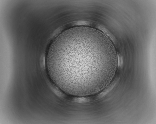 X0000115340253200911091311