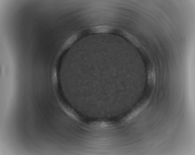 X0000115340254200911091311