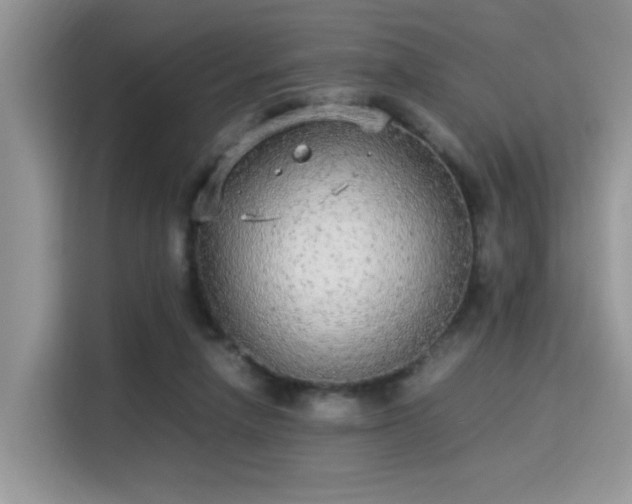 X0000115340258200911091311