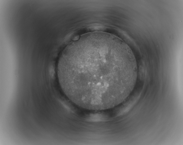 X0000115340259200911091311