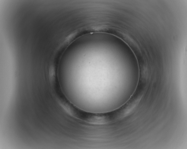 X0000115340260200911091311