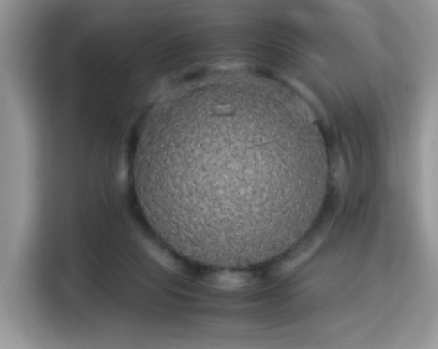 X0000115340261200911091311