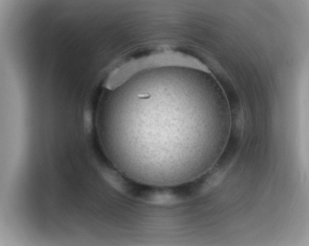 X0000115340262200911091311