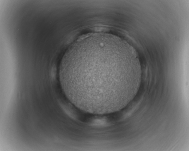 X0000115340263200911091311