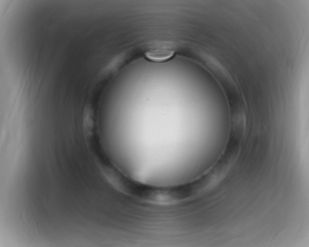 X0000115340264200911091311