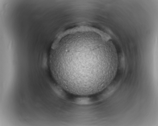X0000115340266200911091311