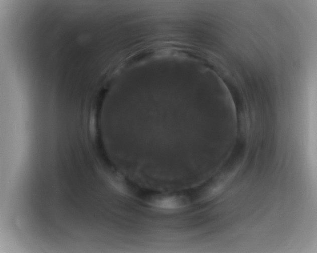 X0000115340267200911091311