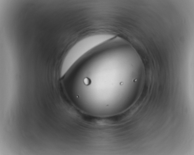 X0000115340268200911091311