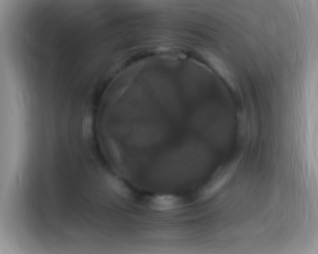 X0000115340269200911091311