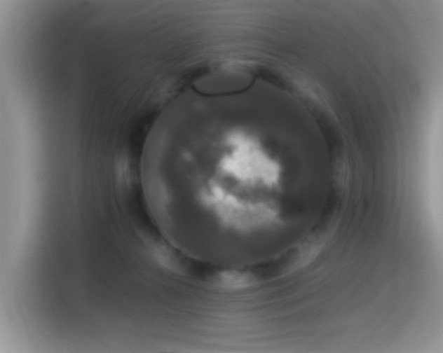 X0000115340272200911091311