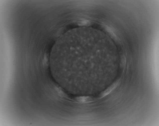 X0000115340273200911091311