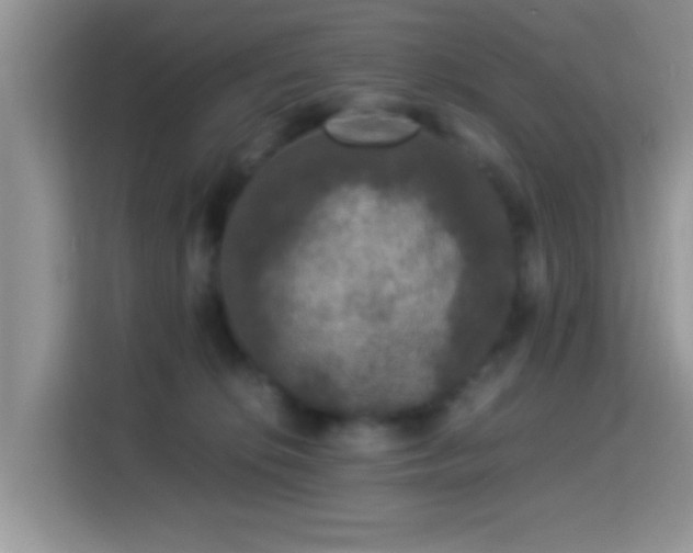 X0000115340276200911091311
