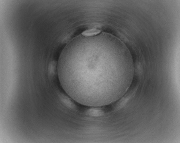 X0000115340280200911091311