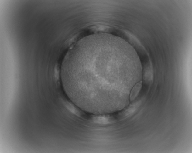 X0000115340282200911091311