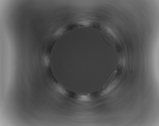 X0000115340285200911091311