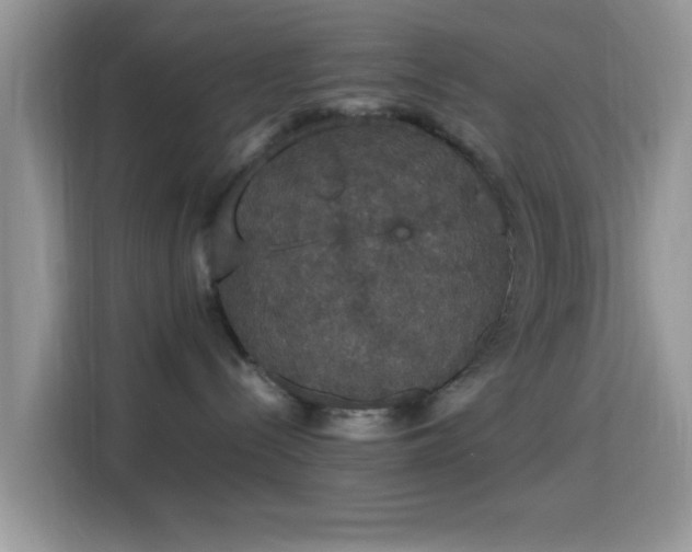X0000115340288200911091311