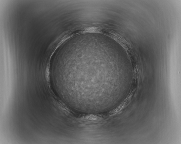 X0000115340290200911091310