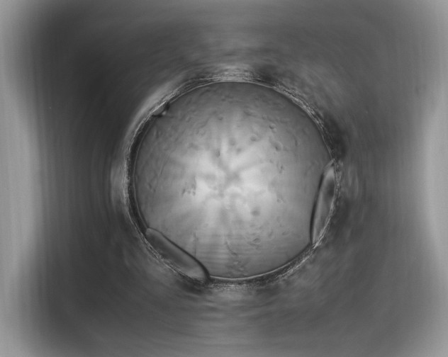 X0000115340293200911091310