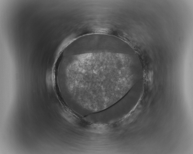 X0000115340294200911091310