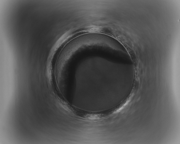 X0000115340295200911091310
