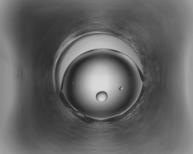 X0000115340296200911091310