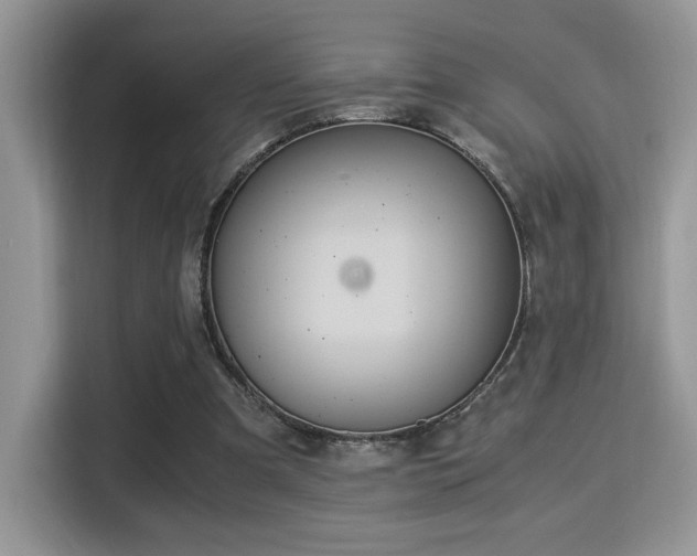 X0000115340297200911091310