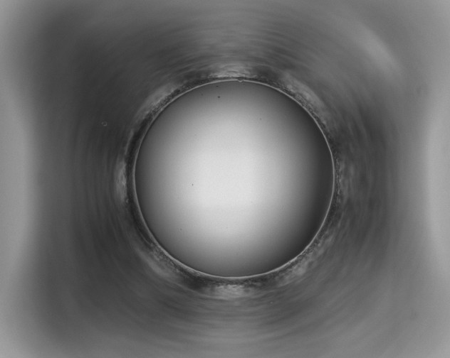 X0000115340298200911091310
