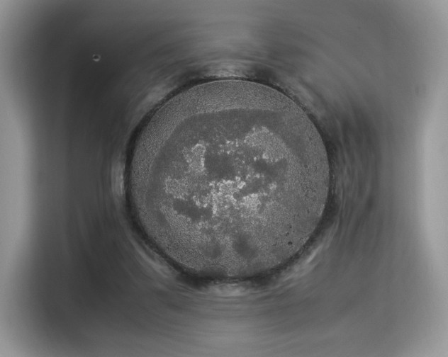 X0000115340299200911091310