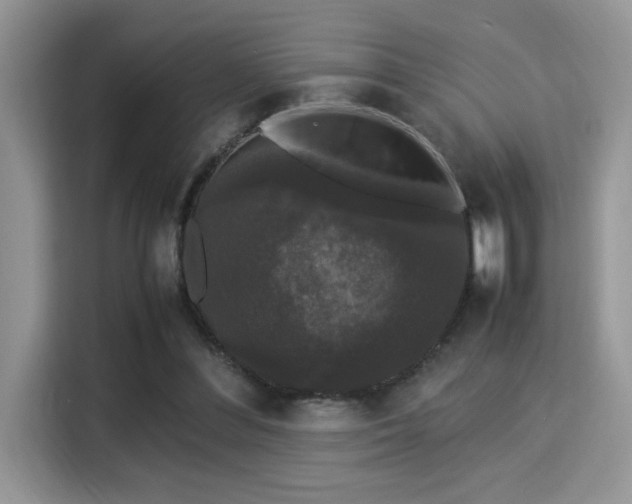 X0000115340300200911091310
