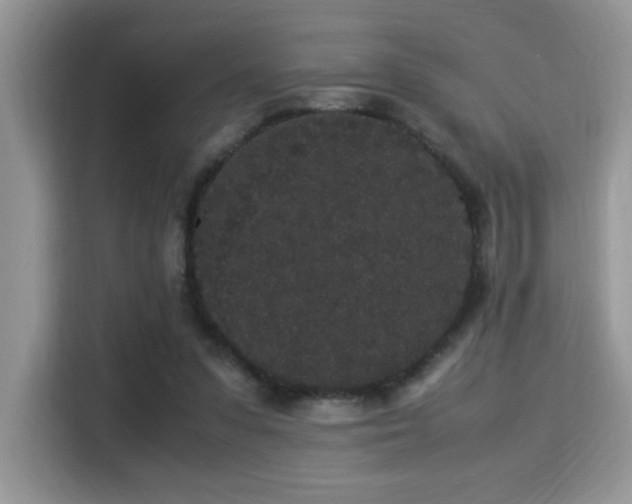 X0000115340303200911091310