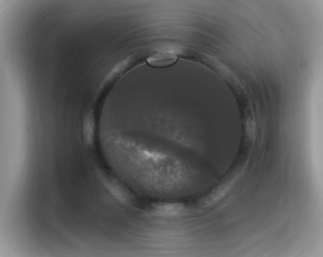 X0000115340304200911091310