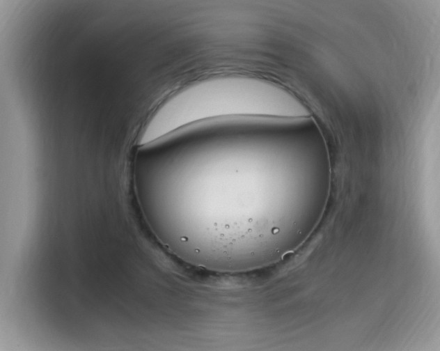X0000115340305200911091310