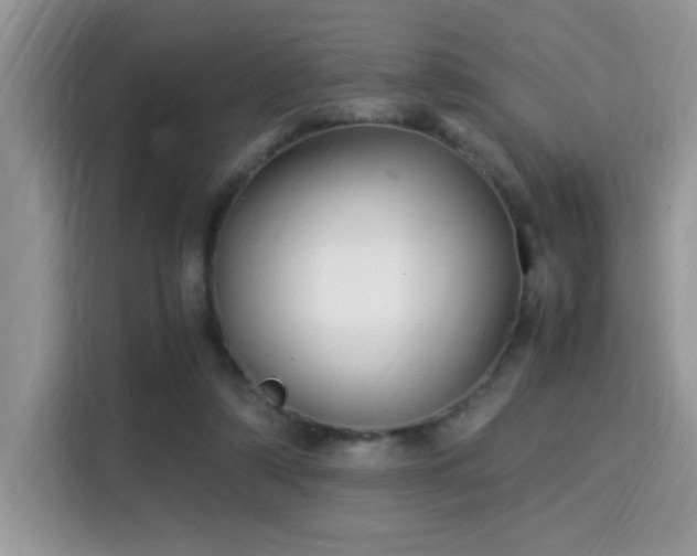 X0000115340306200911091310