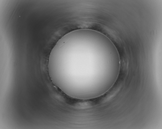 X0000115340307200911091310