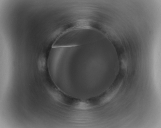 X0000115340308200911091310