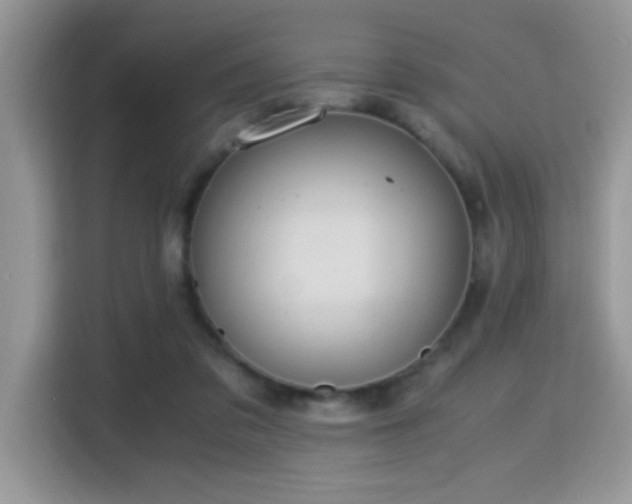 X0000115340309200911091310
