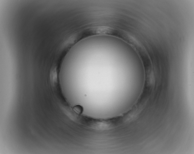 X0000115340310200911091310