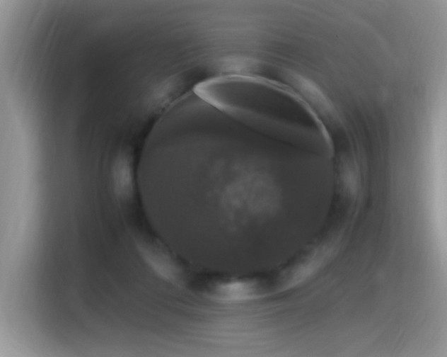 X0000115340312200911091310