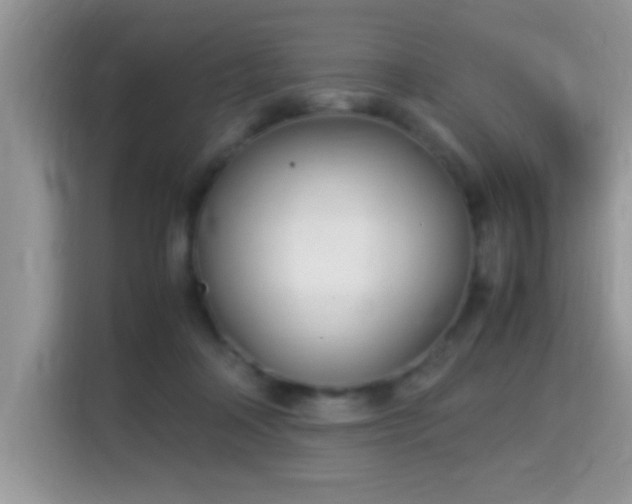 X0000115340314200911091310
