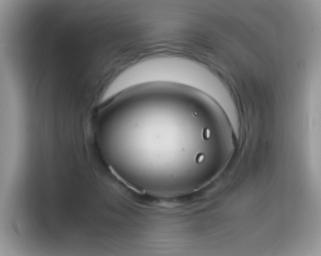 X0000115340317200911091310