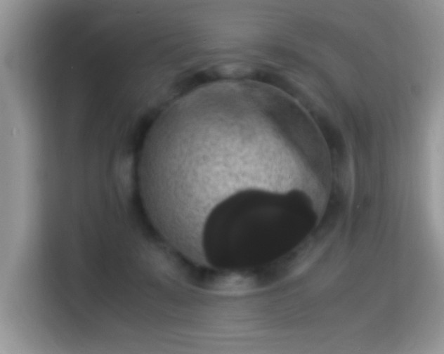 X0000115340319200911091310